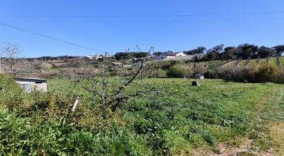 Terrain à Cela de 1 585 m²