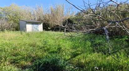 Terrain à Cela de 1 585 m²