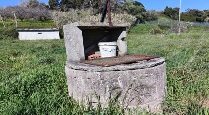 Terrain à Cela de 1 585 m²