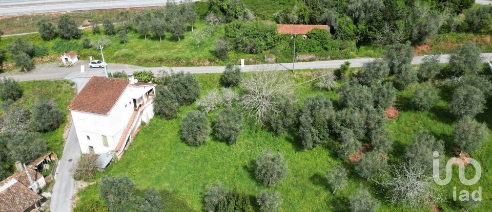 Building plot in São Miguel, Santa Eufémia e Rabaçal of 730 m²