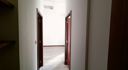 Surface diverse T1 à Viana do Castelo (Santa Maria Maior e Monserrate) e Meadela de 36 m²