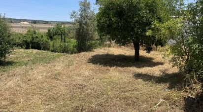 Terrain à bâtir à Coruche, Fajarda e Erra de 912 m²