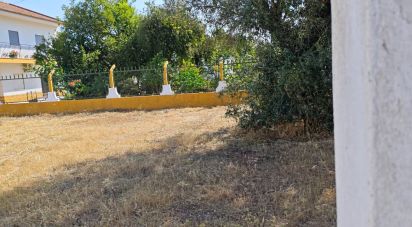 Terrain à bâtir à Coruche, Fajarda e Erra de 912 m²