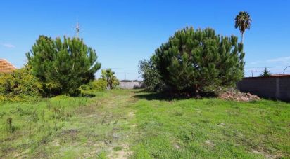 Terrain à Salvaterra de Magos e Foros de Salvaterra de 1 117 m²