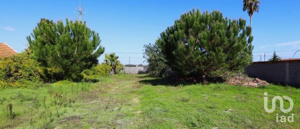 Terrain à Salvaterra de Magos e Foros de Salvaterra de 1 117 m²