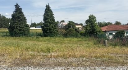 Terrain à bâtir à Fonte Arcada E Oliveira de 401 m²