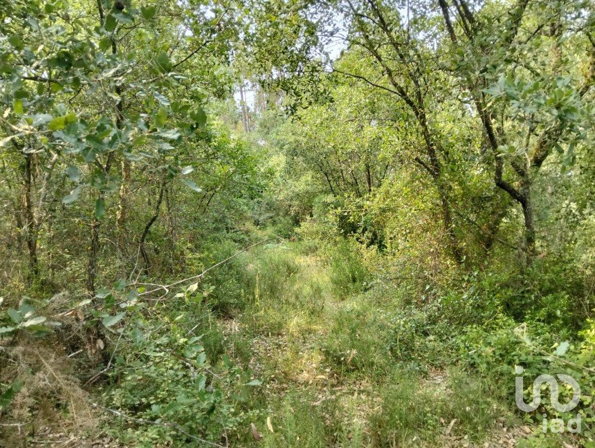 Land in Chãos of 1,480 m²