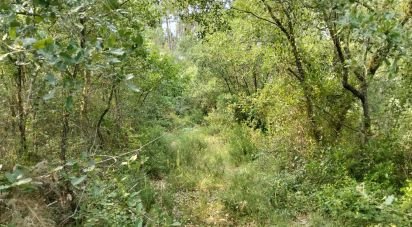 Land in Chãos of 1,480 m²