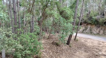 Terrain à Chãos de 1 480 m²