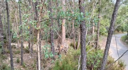 Terrain à Chãos de 1 480 m²