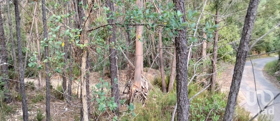 Land in Chãos of 1,480 m²