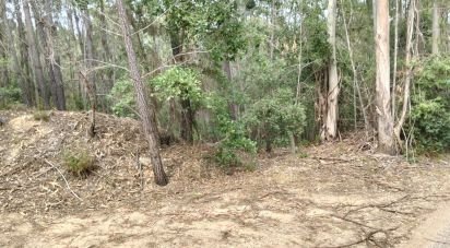 Terrain à Chãos de 1 480 m²