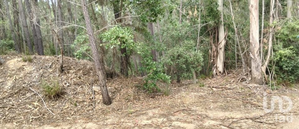 Land in Chãos of 1,480 m²