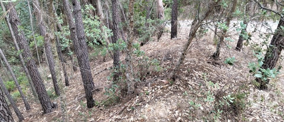 Land in Chãos of 1,480 m²