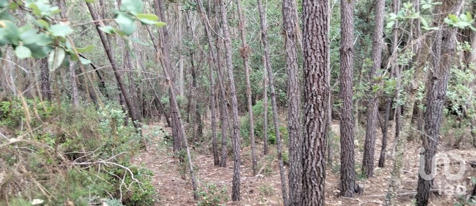 Land in Chãos of 1,480 m²