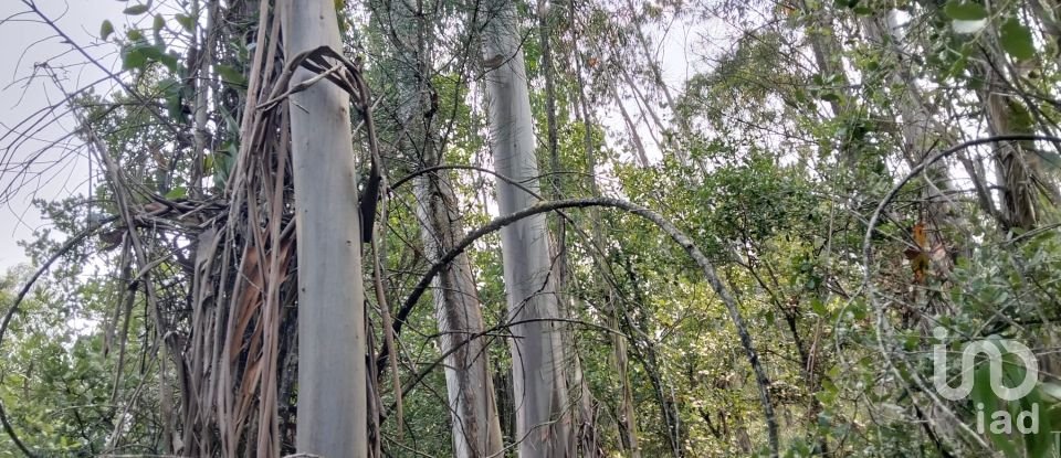 Land in Chãos of 1,480 m²