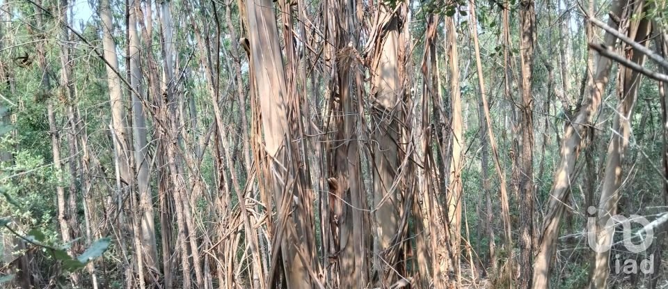 Land in Chãos of 1,480 m²