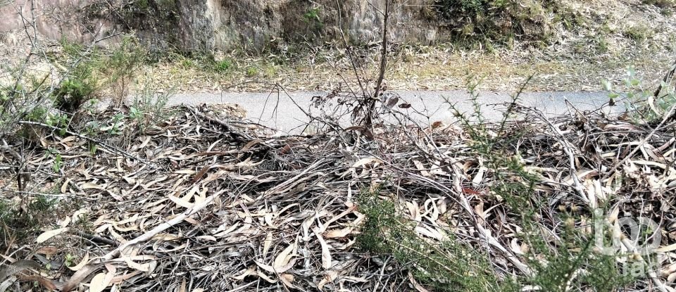 Land in Chãos of 1,480 m²