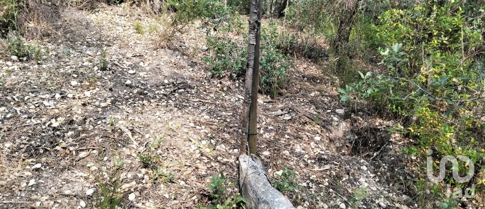 Land in Chãos of 1,480 m²