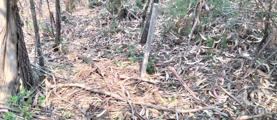 Land in Chãos of 1,480 m²