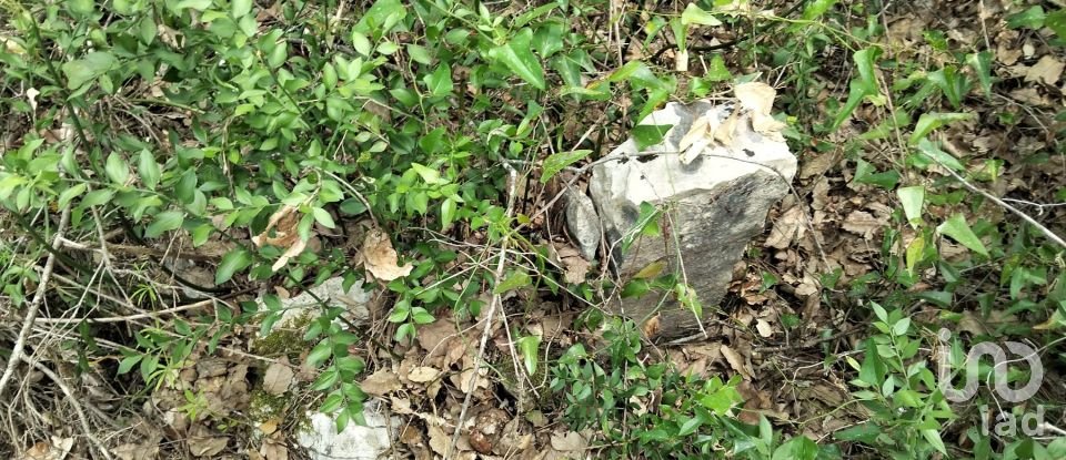 Land in Chãos of 1,480 m²