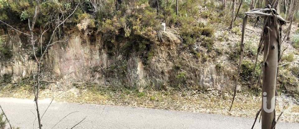 Land in Chãos of 1,480 m²