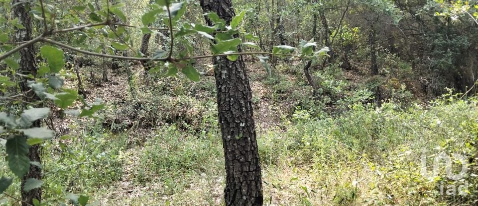 Land in Chãos of 1,480 m²