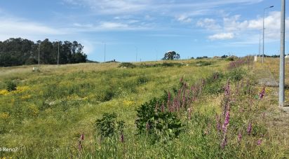 Terrain à bâtir à Fonte Arcada E Oliveira de 707 m²