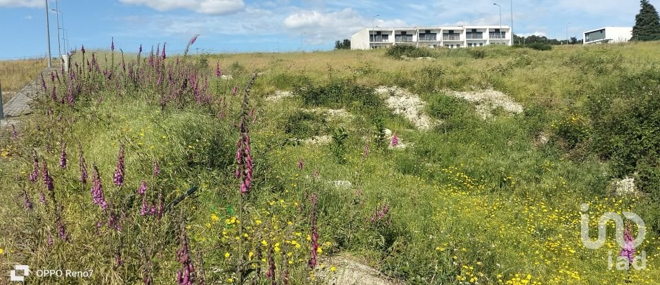 Building plot in Fonte Arcada E Oliveira of 707 m²