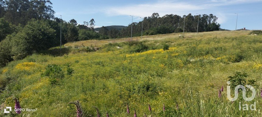 Building plot in Fonte Arcada E Oliveira of 544 m²