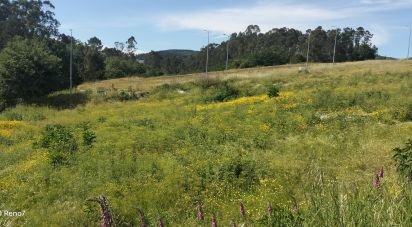 Terrain à bâtir à Fonte Arcada E Oliveira de 544 m²