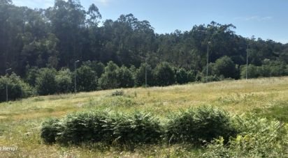Terrain à bâtir à Fonte Arcada E Oliveira de 544 m²