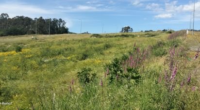 Terrain à bâtir à Fonte Arcada E Oliveira de 544 m²