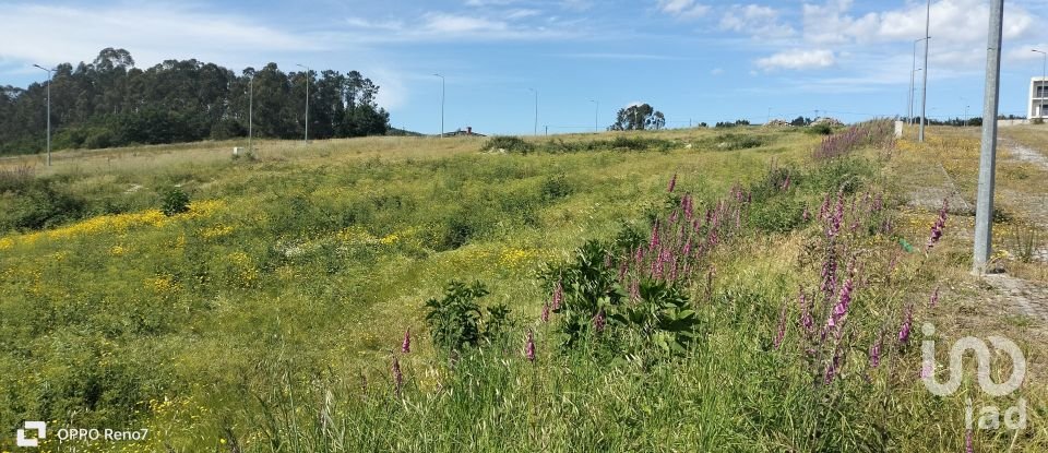 Building plot in Fonte Arcada E Oliveira of 544 m²