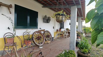 Bâtiment à Ladoeiro de 210 m²