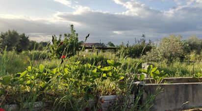 Bâtiment à Ladoeiro de 210 m²