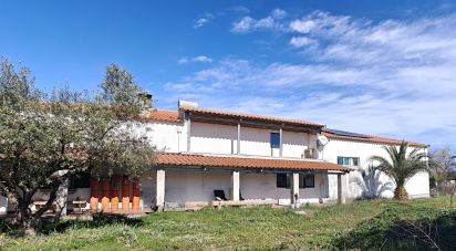 Bâtiment à Ladoeiro de 210 m²