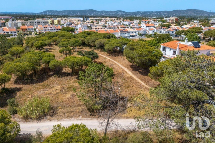 Terreno em Montenegro de 5 320 m²