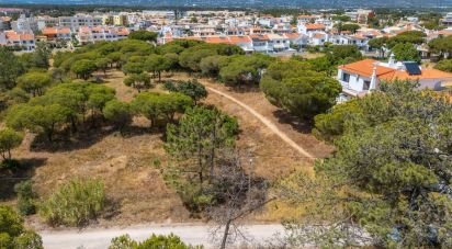 Terrain à Montenegro de 5 320 m²