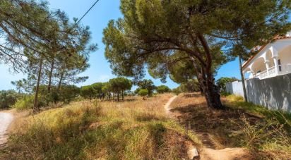 Terrain à Montenegro de 5 320 m²