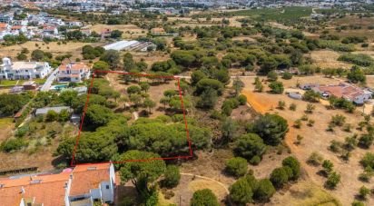 Terrain à Montenegro de 5 320 m²