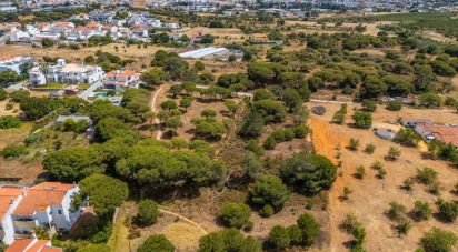 Terrain à Montenegro de 5 320 m²