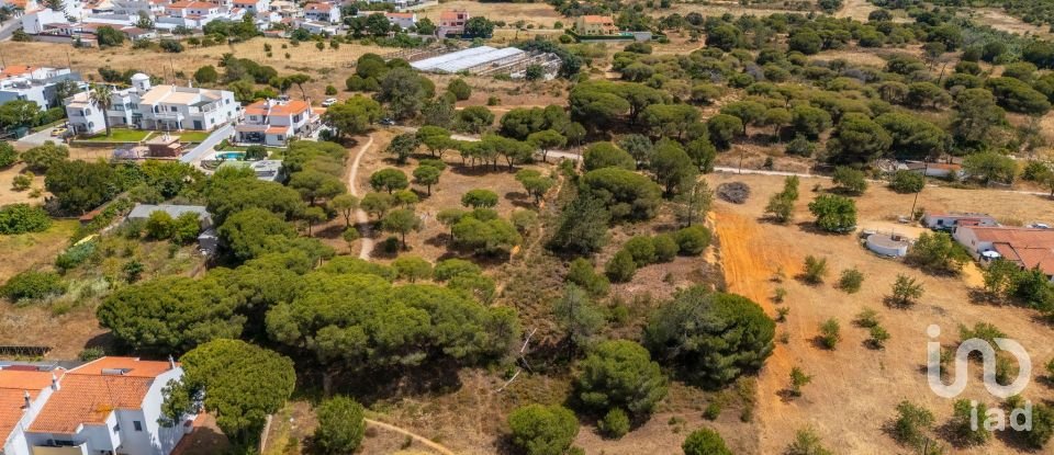 Terreno em Montenegro de 5 320 m²