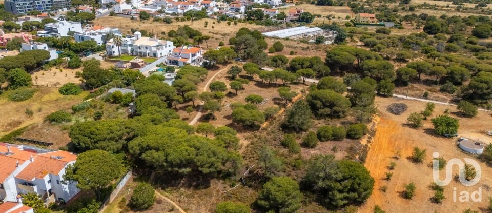 Terreno em Montenegro de 5 320 m²