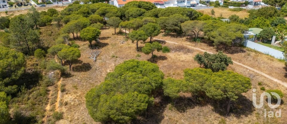 Terreno em Montenegro de 5 320 m²