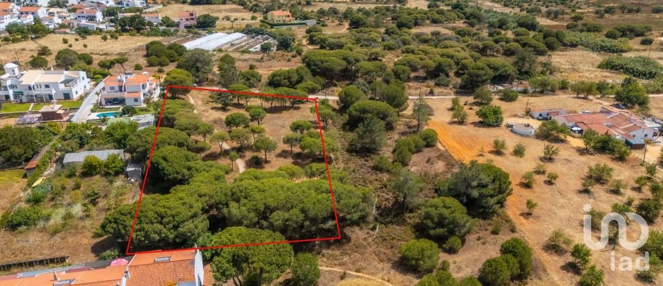 Terreno em Montenegro de 5 320 m²