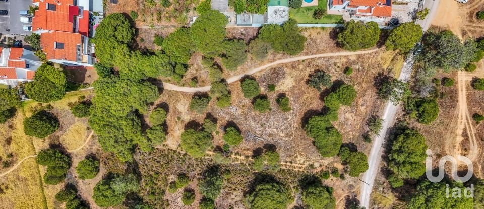 Terreno em Montenegro de 5 320 m²