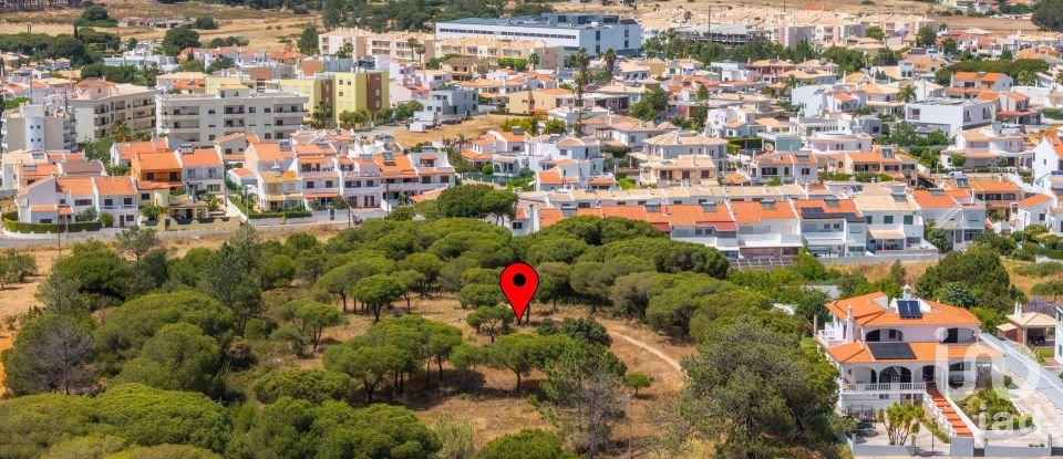 Terreno em Montenegro de 5 320 m²