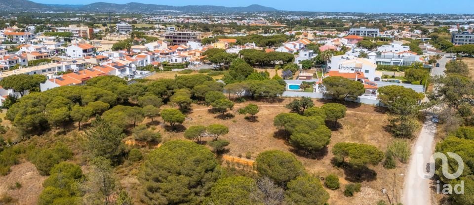 Terreno em Montenegro de 5 320 m²