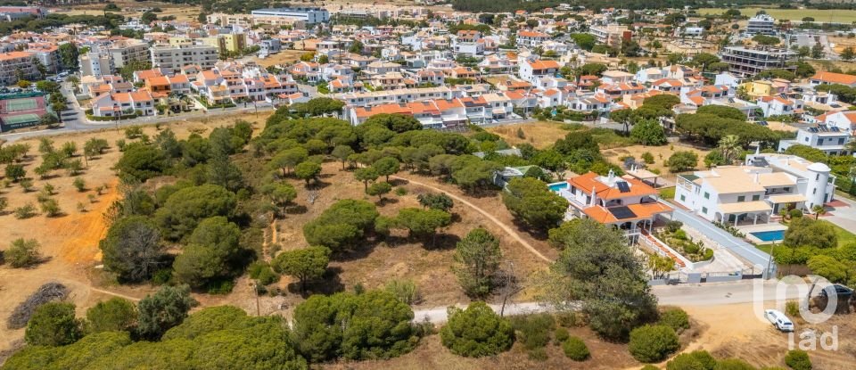 Terreno em Montenegro de 5 320 m²